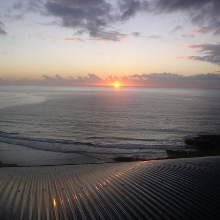 Oceanscape Luxury Beachfront Villas Scotts Head Exteriör bild