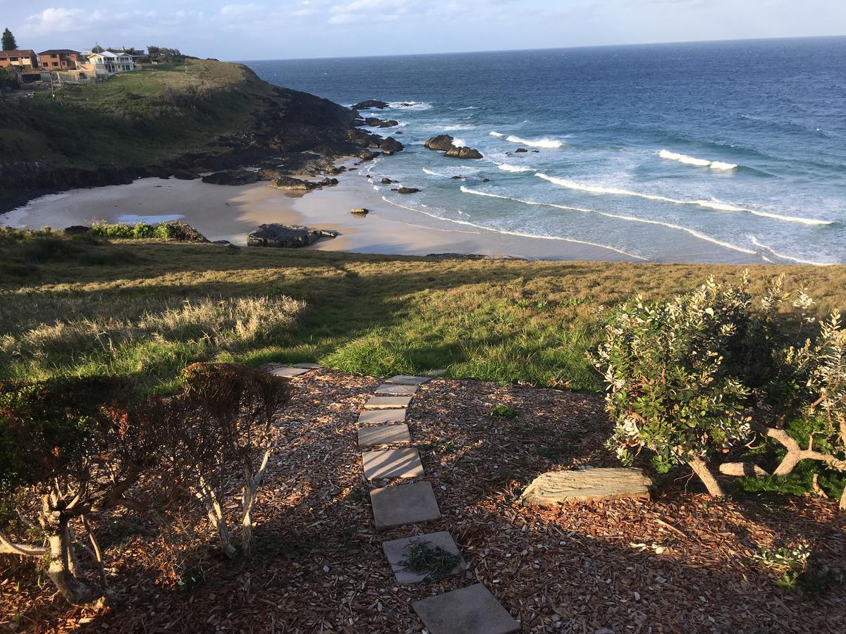 Oceanscape Luxury Beachfront Villas Scotts Head Exteriör bild